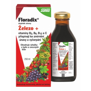 Floradix Železo + Vitamíny sirup 250ml