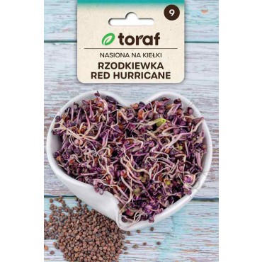 Semena na klíčky Ředkvička Red Hurricane 10g