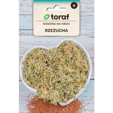 Semena na klíčky Řeřicha 30g