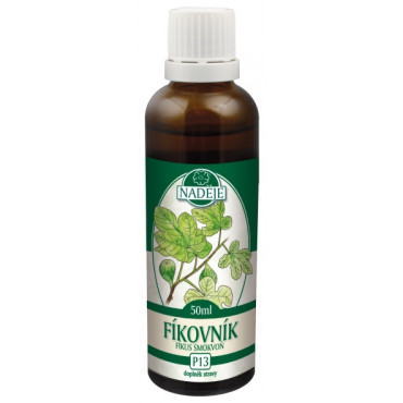 Tinktury Naděje: Fíkovník 50ml - z pupenů
