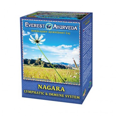 Everest Ayurveda: Bylinný čaj NAGARA 100g
