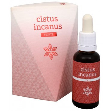 Cistus Incanus kapky 30ml