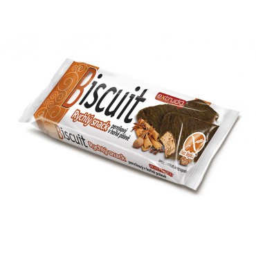 Biscuit Rychlý snack perníkový v polevě 24g