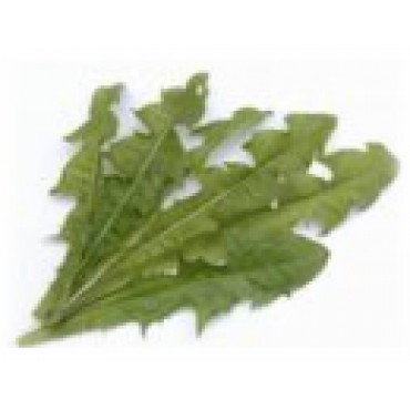 Pampeliska List (pampeliškovém listu, Pampeliškový list, list obsahuje, Pampeliškový list obsahuje) Pampeliska List