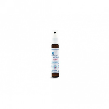 Koloidní stříbro sprej 40 ppm 25ml