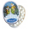 Les Anis de Flavigny: Bonbons Menthe 50g