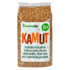 Kamut zrno BIO 500g