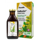 Floradix Gallexier 250ml