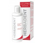 Herbadent Professional koncentrát bylinné ústní vody 250ml
