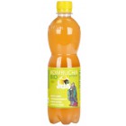 Kombucha bancha citron BIO 500ml