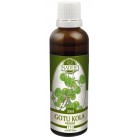 Tinktury Naděje: Gotu kola (Brahmí) 50ml - z bylin