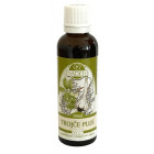 Tinktury Naděje: Trojče plus 50ml