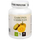 Garcinia Cambogia 90cps.