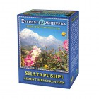 Everest Ayurveda: Bylinný čaj SHATAPUSHPI 100g