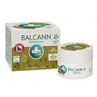 Annabis: Balcann konopná mast BIO + dubová kůra 50ml