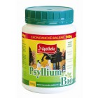 Apotheke: Psyllium BIO 300g