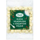 Klikva velkoplodá v jogurtové polevě 100g