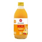 Shot zázvorový BIO 330ml