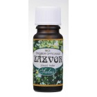 Salus: Vonný olej Zázvor 5ml