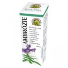 Ambrózie mast 100g
